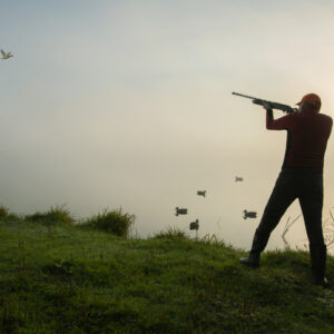 Silhouette of the hunter shooting into flying duck at sunrise.